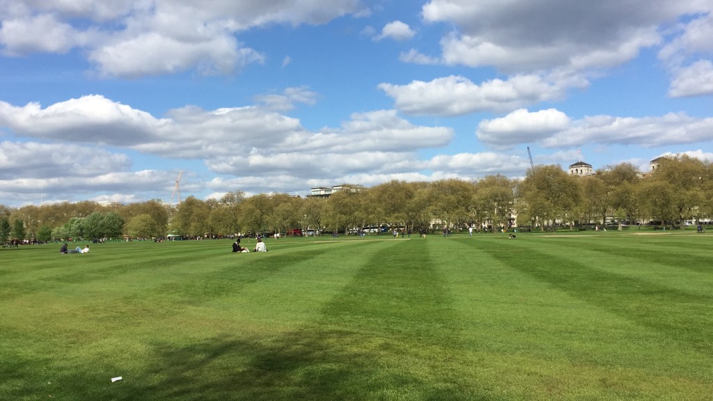 View across Hyde Park, with wide alternating stripes of light and dark green in the grass, and trees along the horizon hiding the buildings behind.
