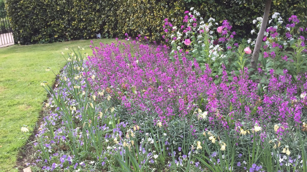 A large mixture of white, pink and purple flowers by a grass verge.