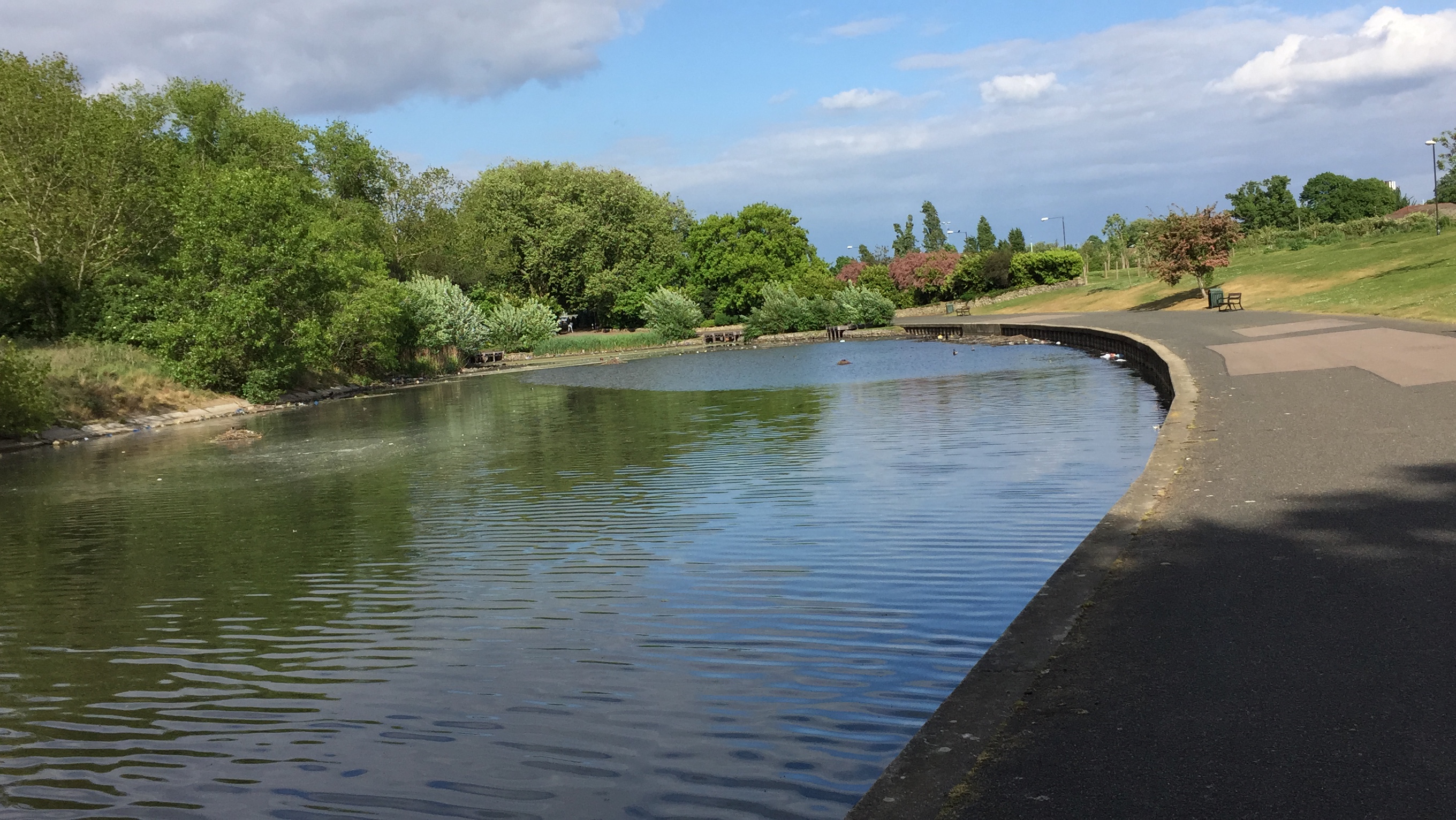 One end of the lake in Barking Park, with the sun shining on the grass and trees around it.