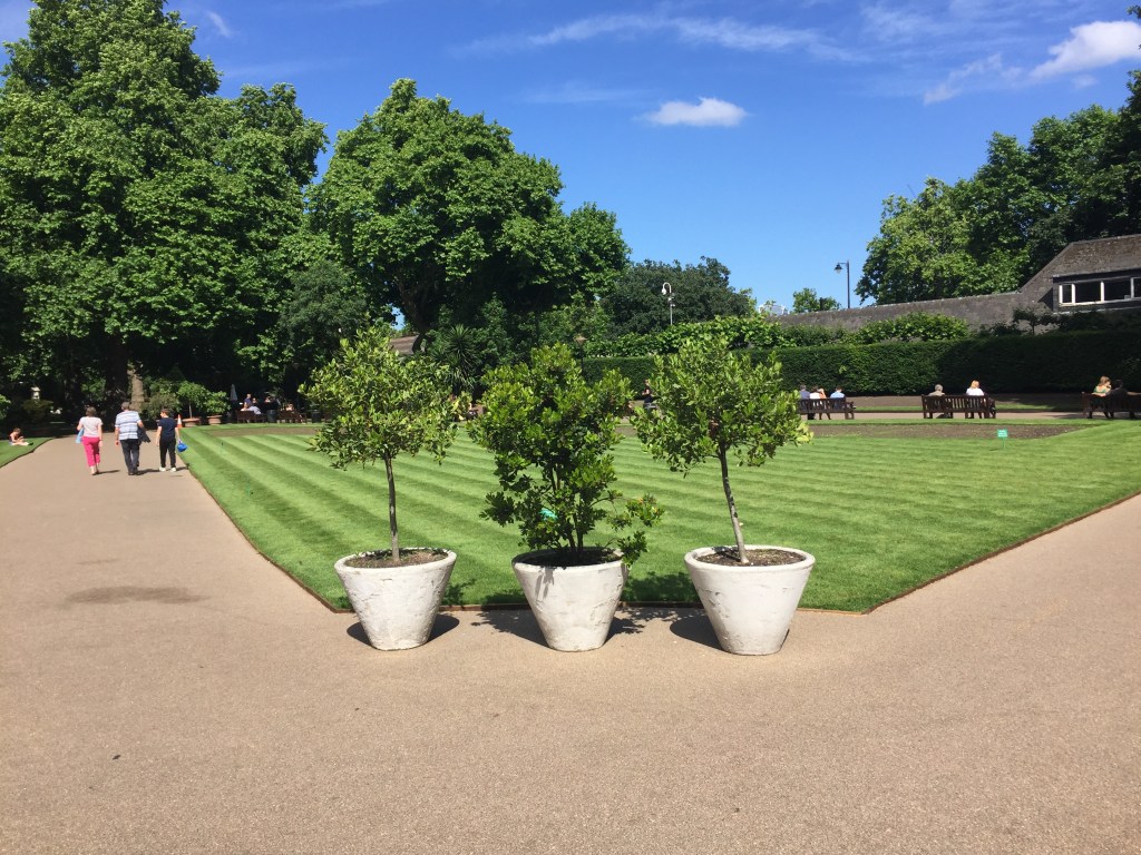 3 large pots, each containing a small tree, sit in front of a striped green lawn area. To the sides, people are walking or sitting on benches. Larger trees are grouped together in the background underneath a summer sky that is almost clear blue, apart from a couple of wispy clouds.