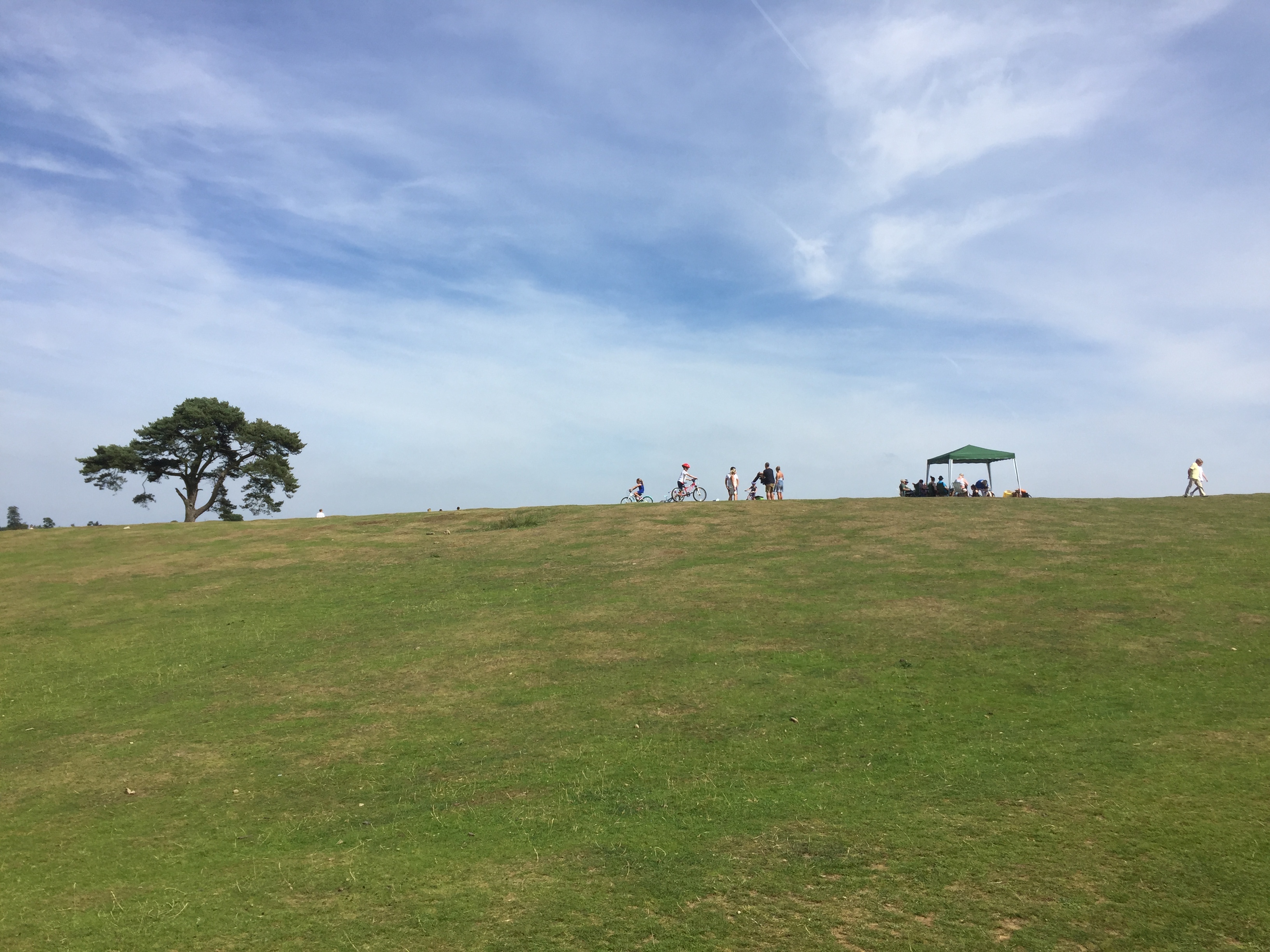 A grass hill under a bright blue sky with light wispy clouds. At the top of the hill is a tree on the left, and people walking and cycling in the centre.