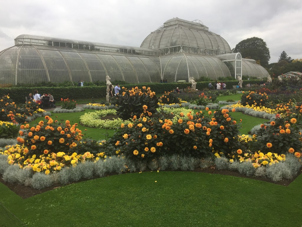 A selection of round and curved flowerbeds, containing a variety of yellow and orange flowers, in front of a huge, long, arched greenhouse.