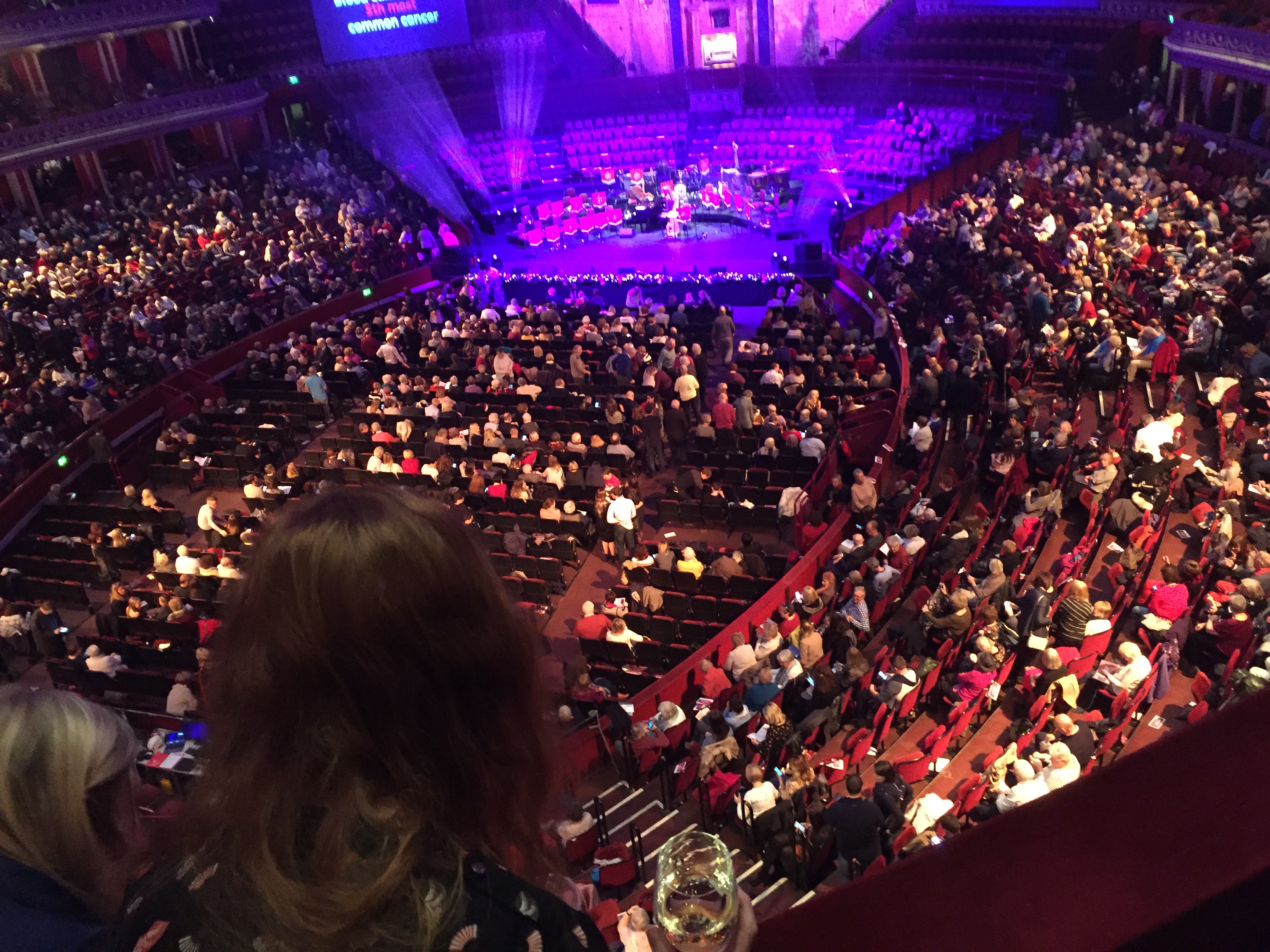 View from our box at the back of the auditorium, looking out over the stalls and towards the stage.