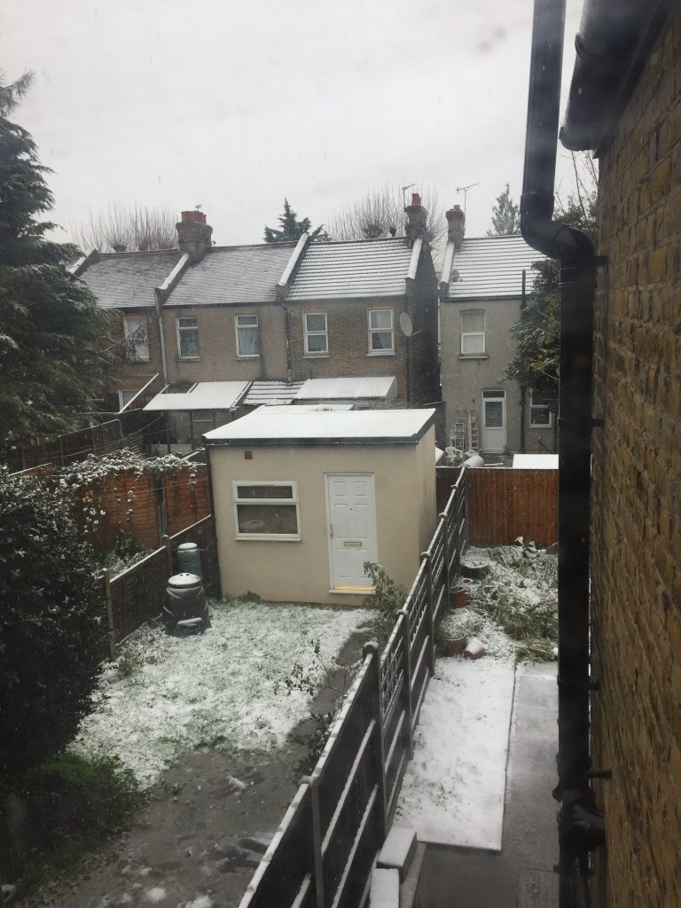 View outside my back bedroom window, with a dusting of snow over the back gardens and rooftops.