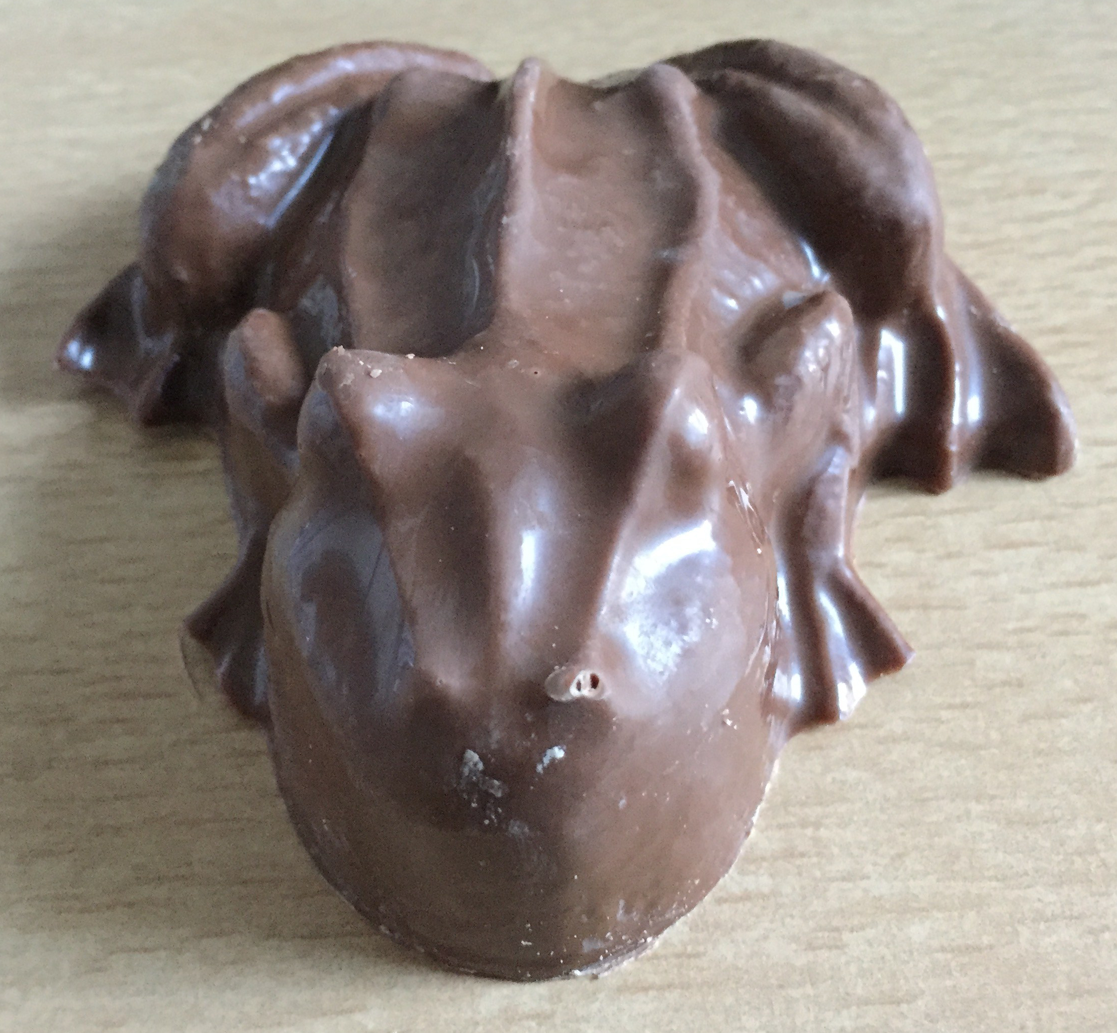 Large piece of chocolate sculpted into the shape of a frog, with webbed feet, spine detailing, and bumps for the eyes and nostrils.