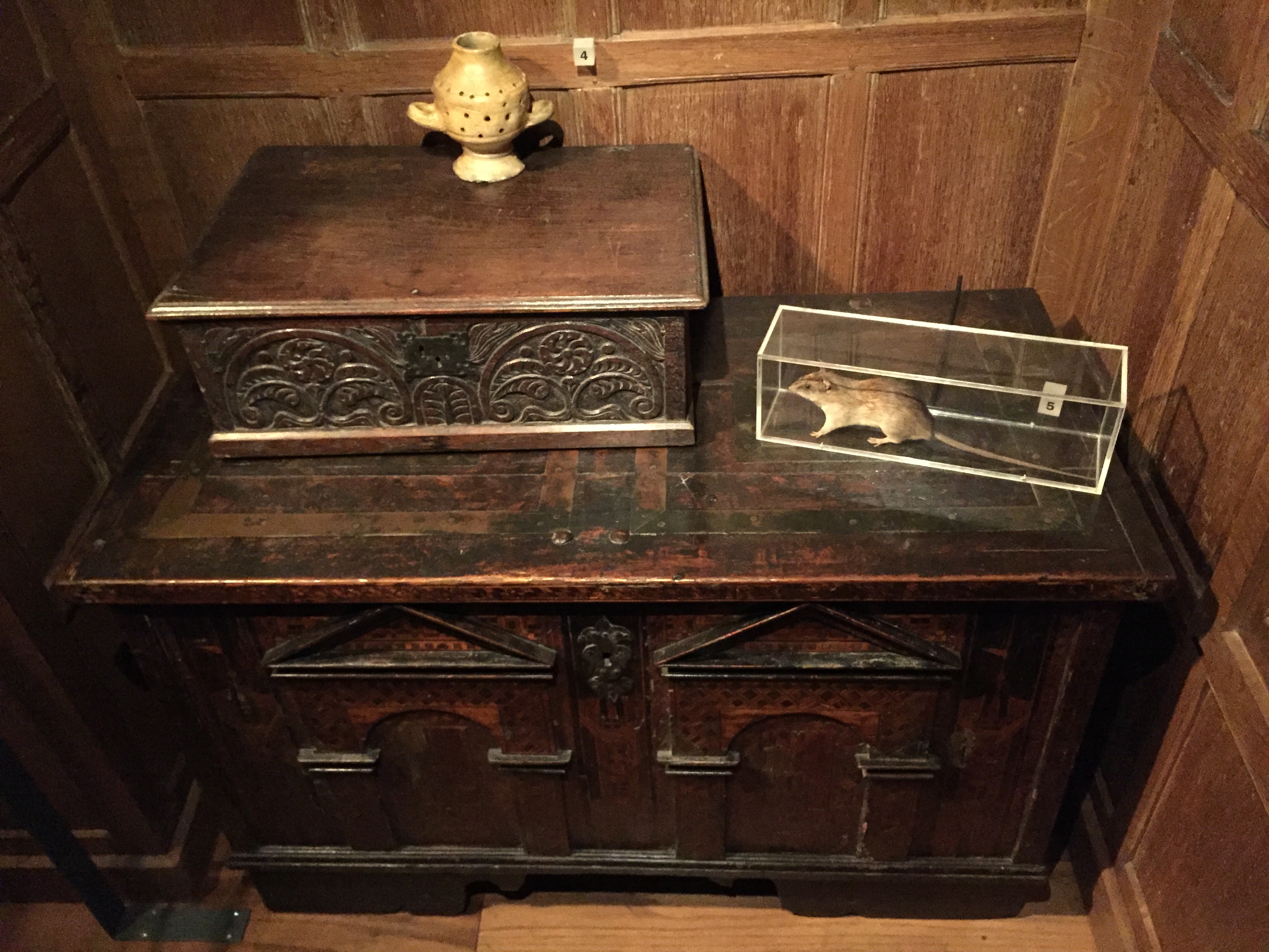 On top of a large wooden cabinet is a small ornate wooden box, on top of which is a small urn with holes in the side and handles on each side. Also on top of the cabinet, on the right side, is a rat in a glass case.