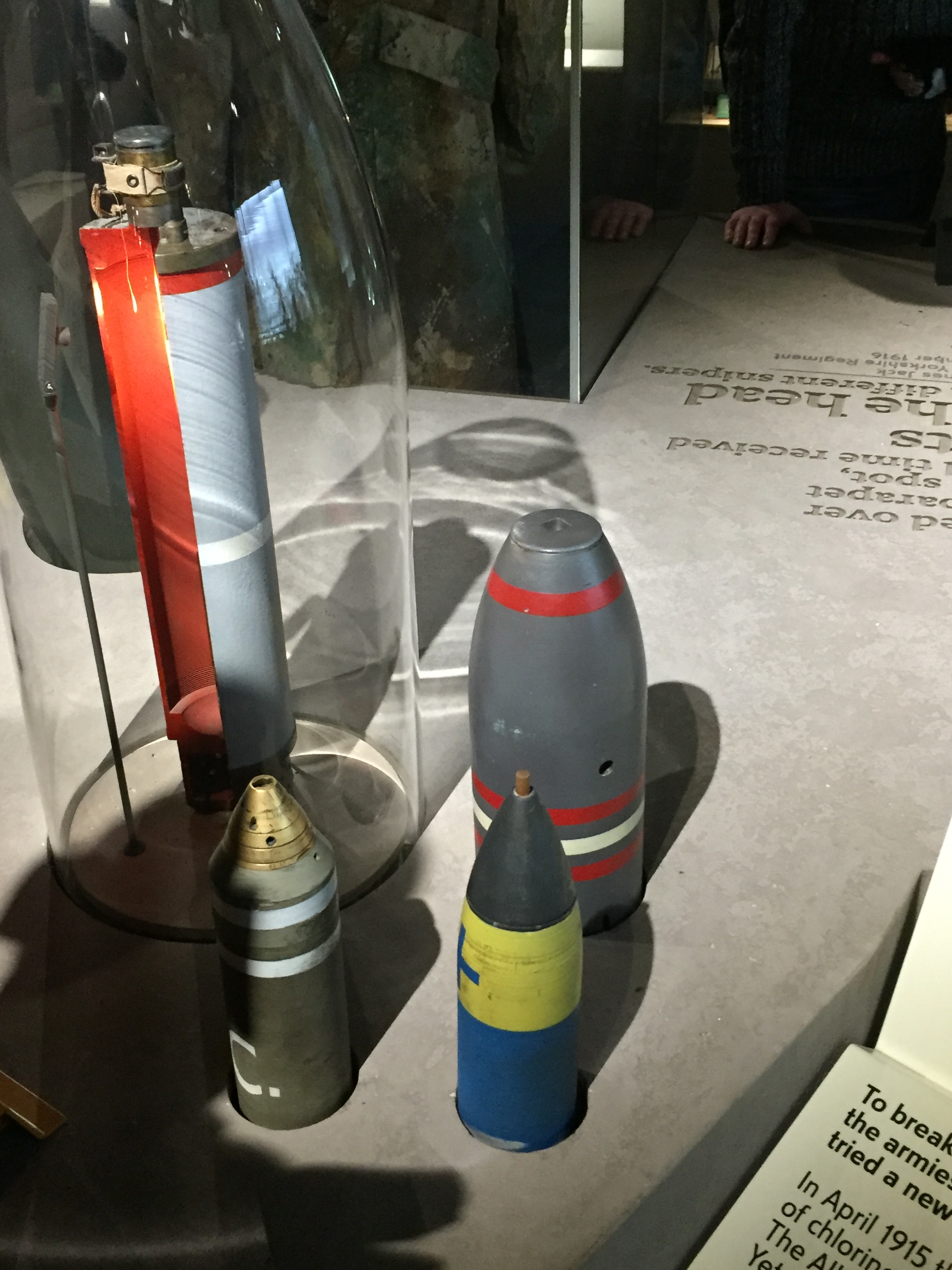 Shells of varying sizes and colours.