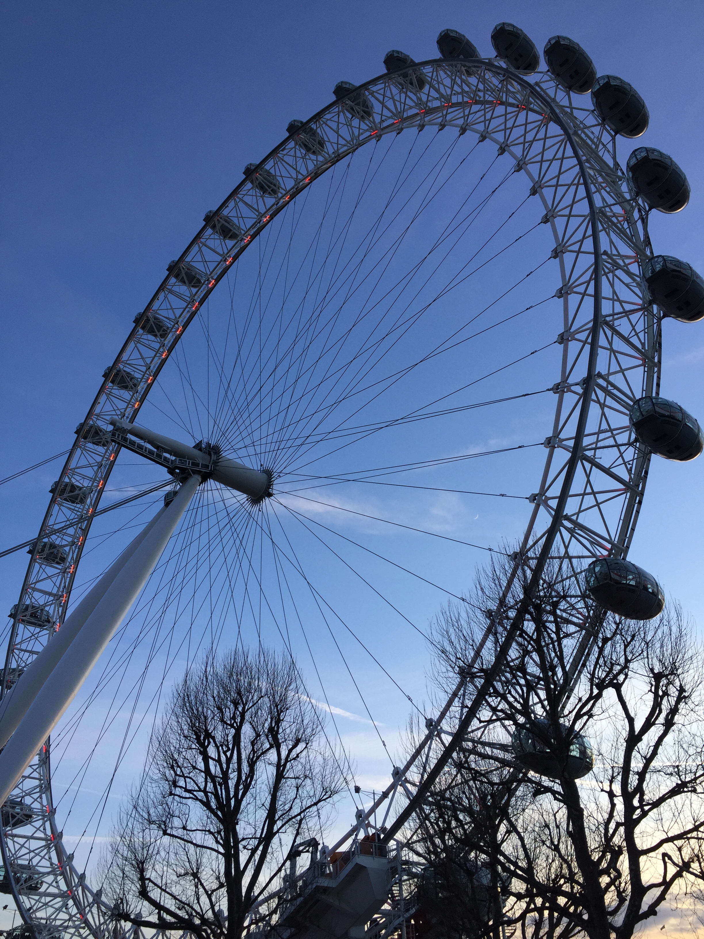 The huge ferris wheel that is the London Eye