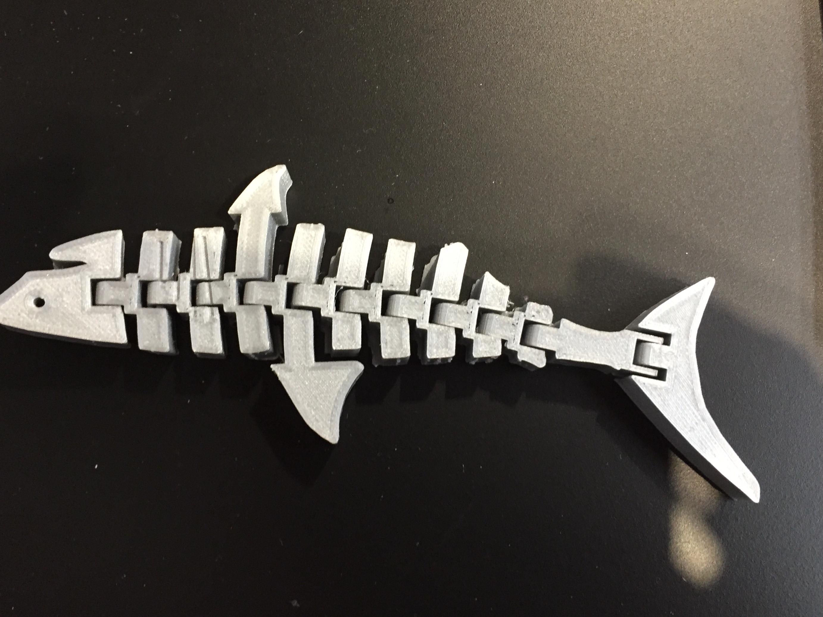 Grey 3D printed model of a shark, it's body made of multiple interlinked sections that give it flexibility of movement.