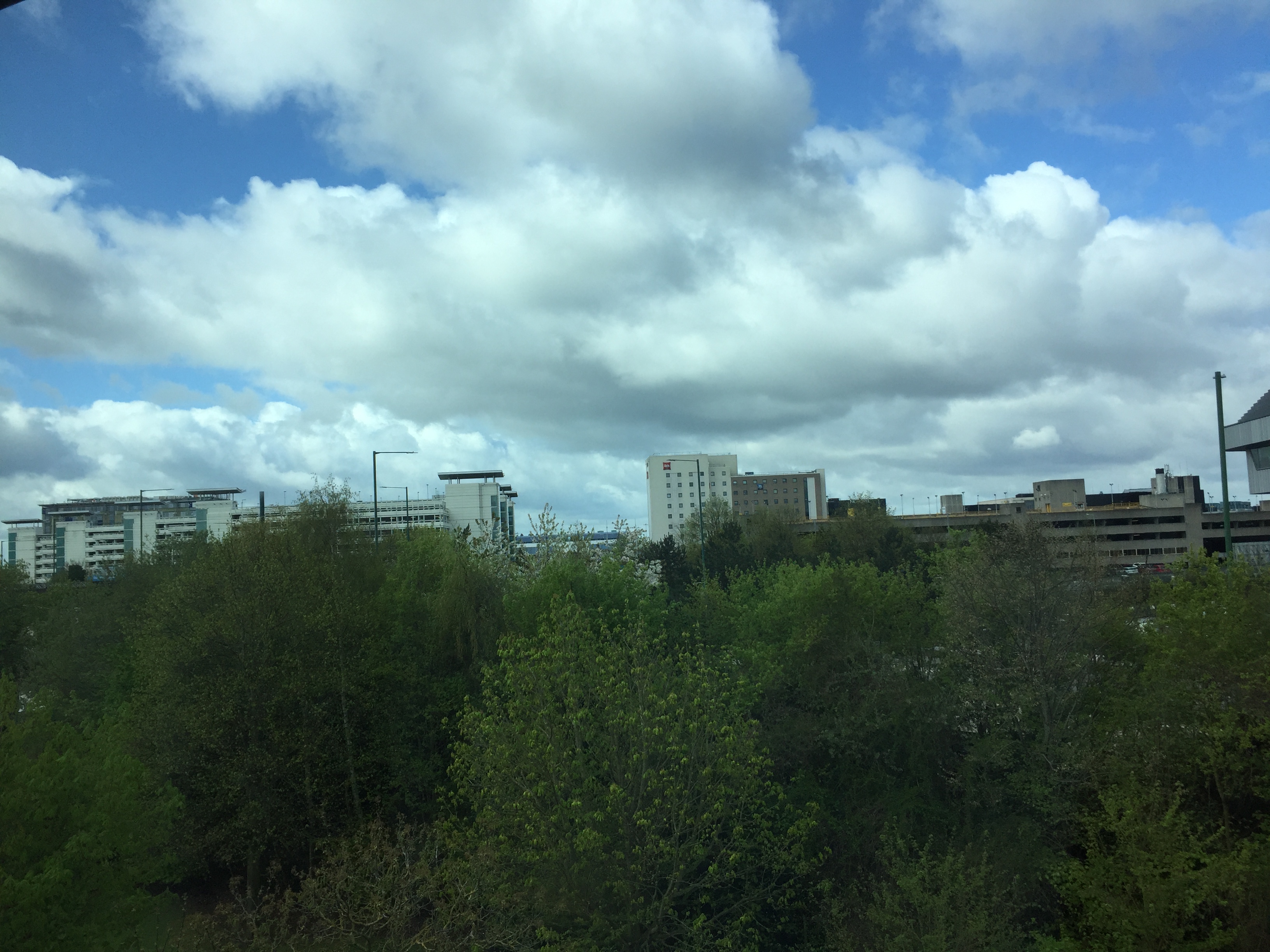 View from my hotel room window, showing various buildings behind a large cluster of green trees, beneath a cloudy sky.