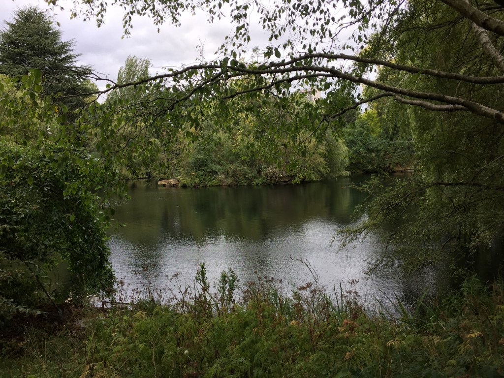 Lake surrounded by trees in the Buckingham Palace gardens.