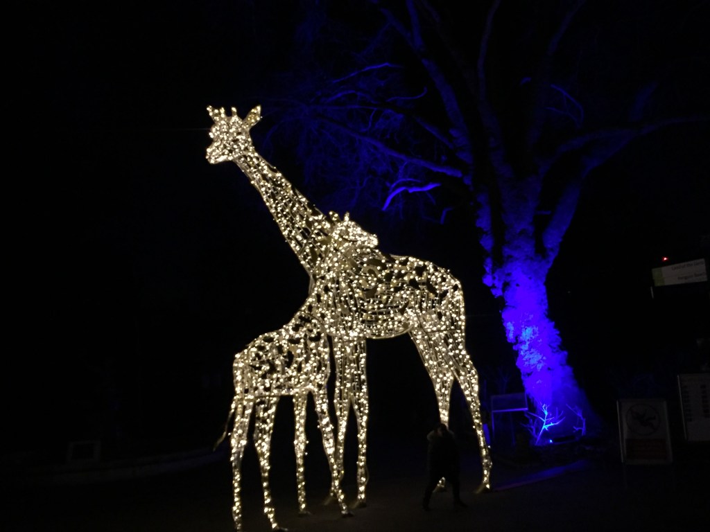 Sculpture of 2 giraffes together, one much taller than the other, made out of lights.
