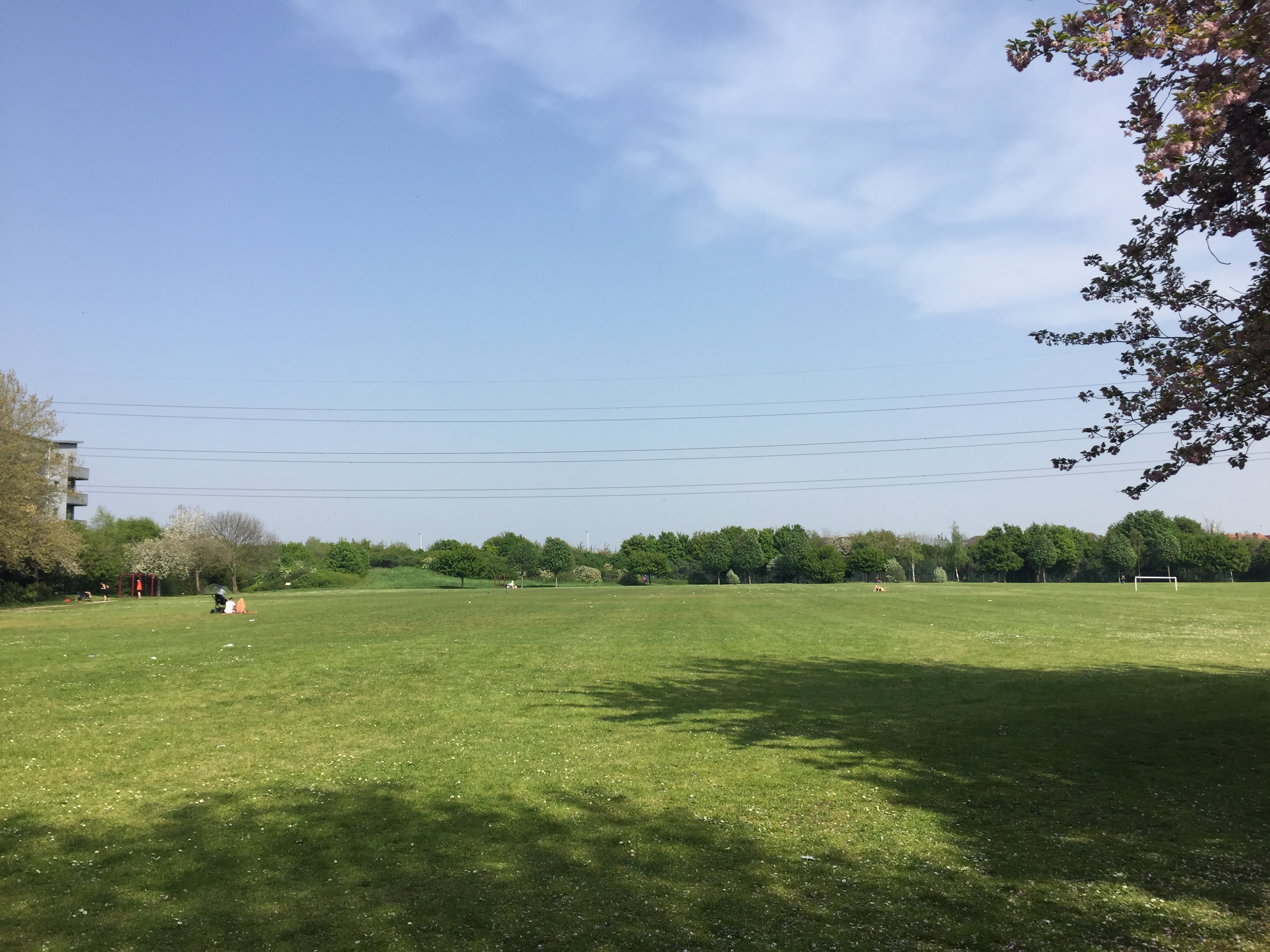 Very large open grass area in Little Ilford Park, with trees around the perimeter, under bright sunshine and a clear blue sky.