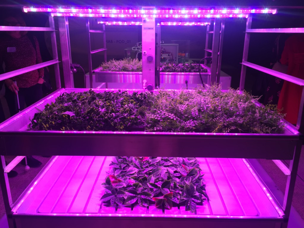 Large open-sided shelving units containing a variety of green plants bathed in pink light, to show how they could be grown on Mars.