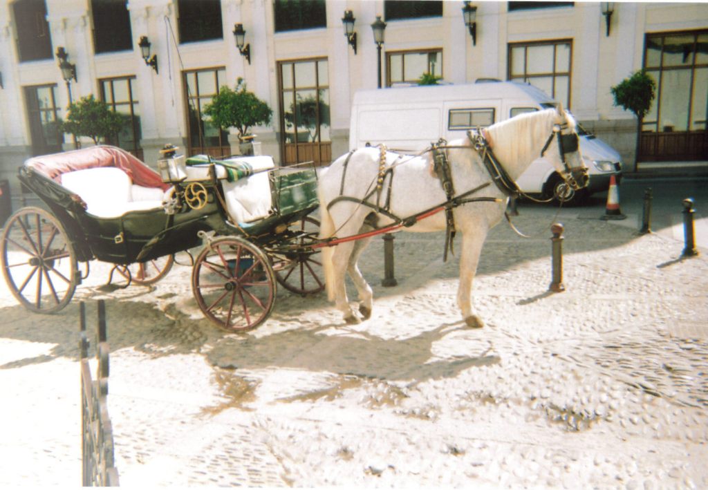 A white horse pulling a roofless carriage in the town of Ronda.