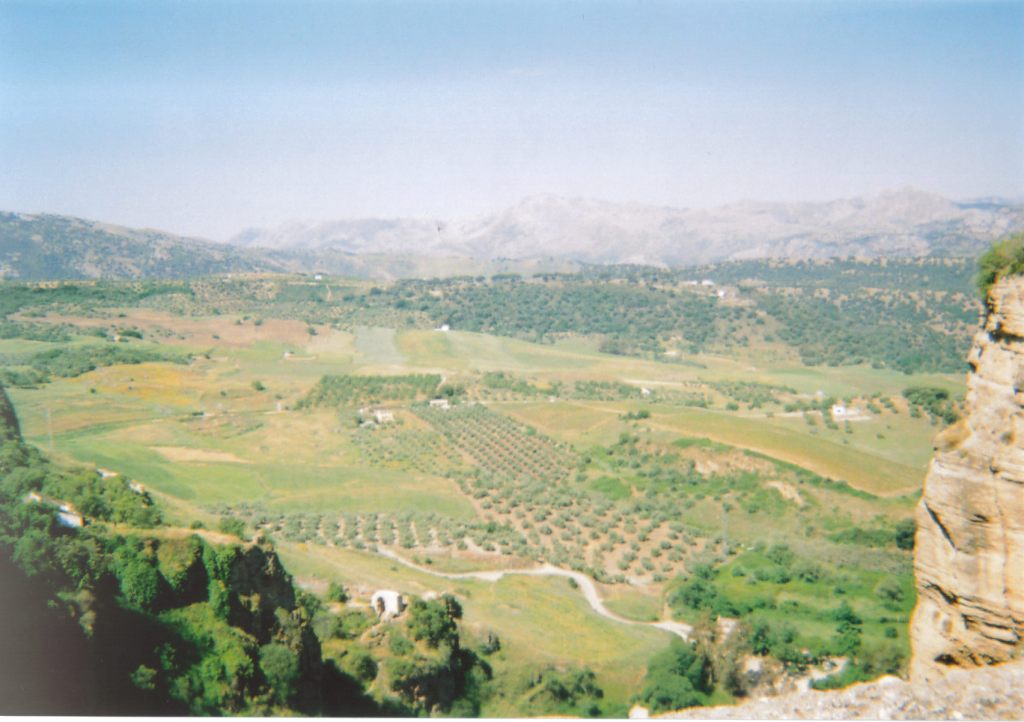 Scenic view of a green valley in Ronda from high up.