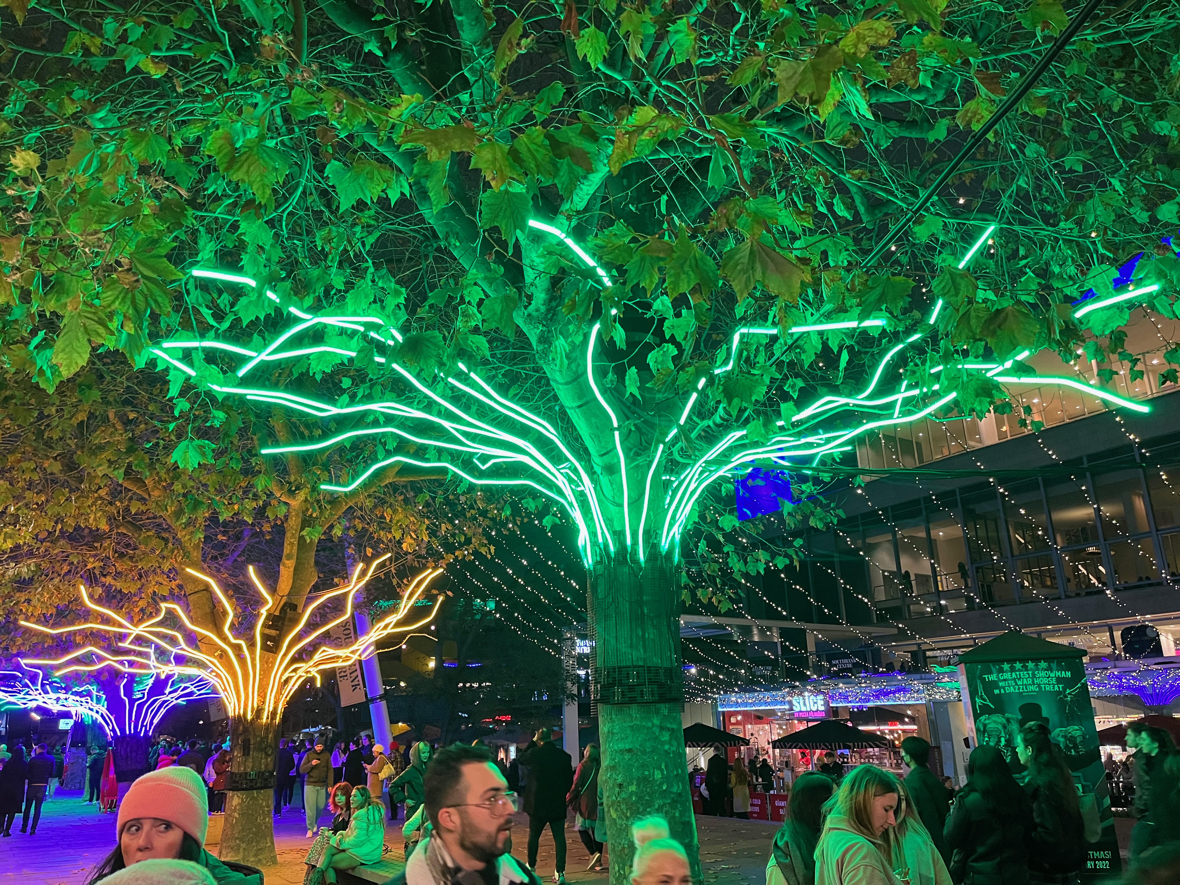 A tree on the South Bank of the Thames with individual branches lit up in bright green, protruding upwards and outwards from the trunk. Another tree in the background has branches lit in orange.