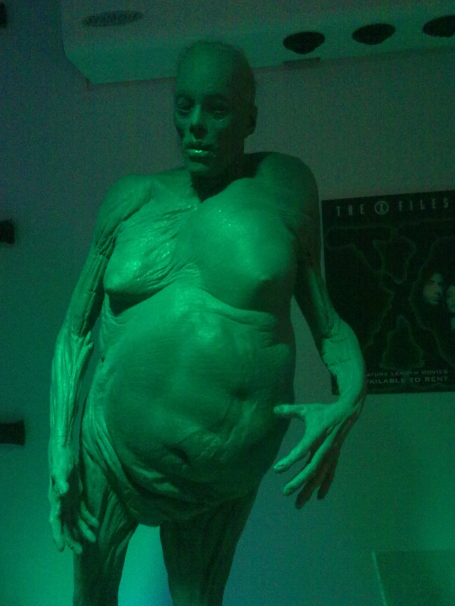 A tall, fat, bald, naked green alien creature.