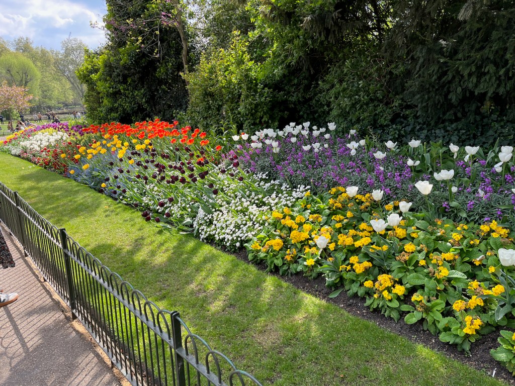 A long flower bed with plants of many colours in St James's Park, including  white, yellow, orange, red and purple flowers.