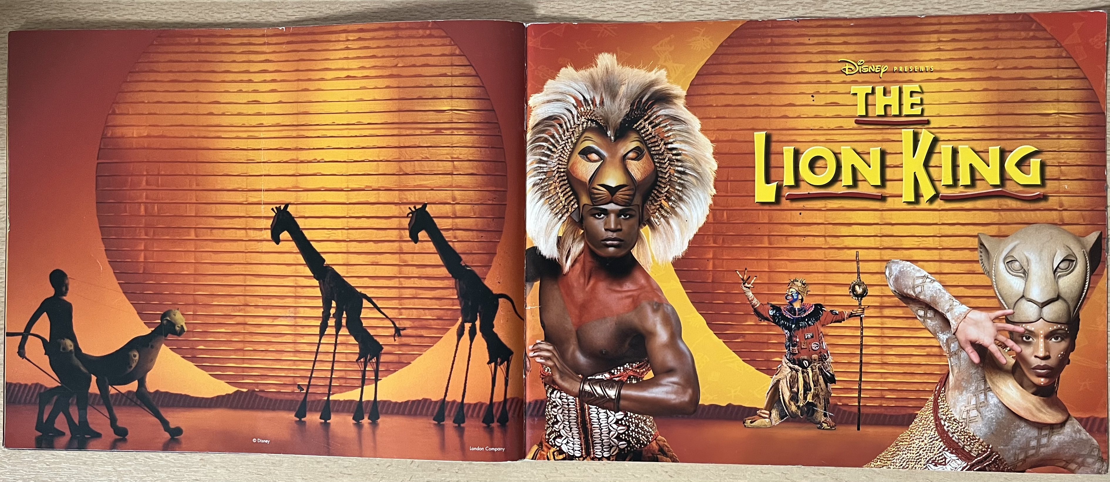 Front and back cover spread of the programme for The Lion King, showing a topless black African man wearing a large hat that looks like a lion's face with a big fluffy mane of hair around it. On the back page, two tall models of giraffes, with stilts for legs, move across the stage, in silhouette against the large sunshine backdrop.
