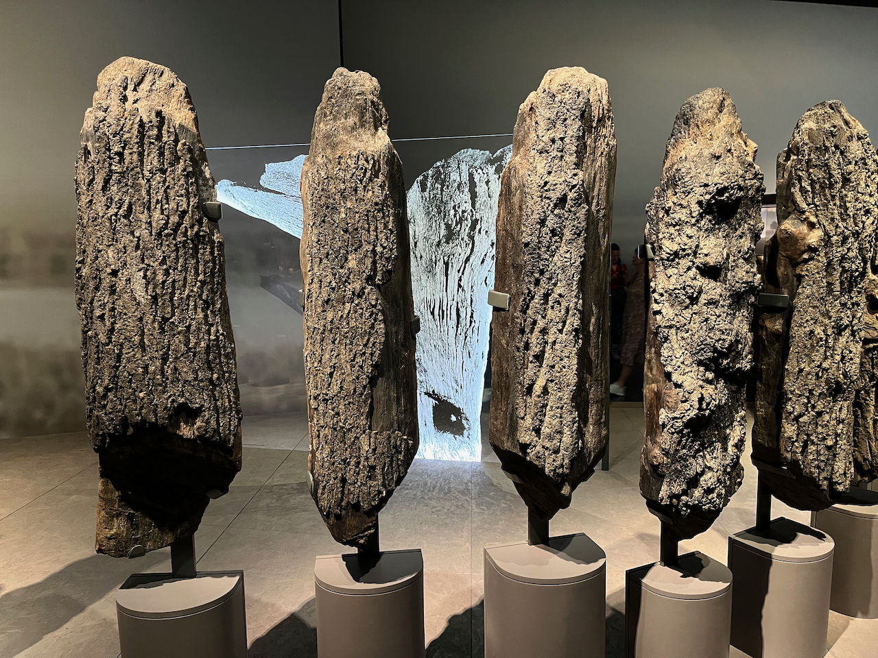 A set of 5 large, thick timber posts that form part of Seahenge, standing in a line on circular plinths.