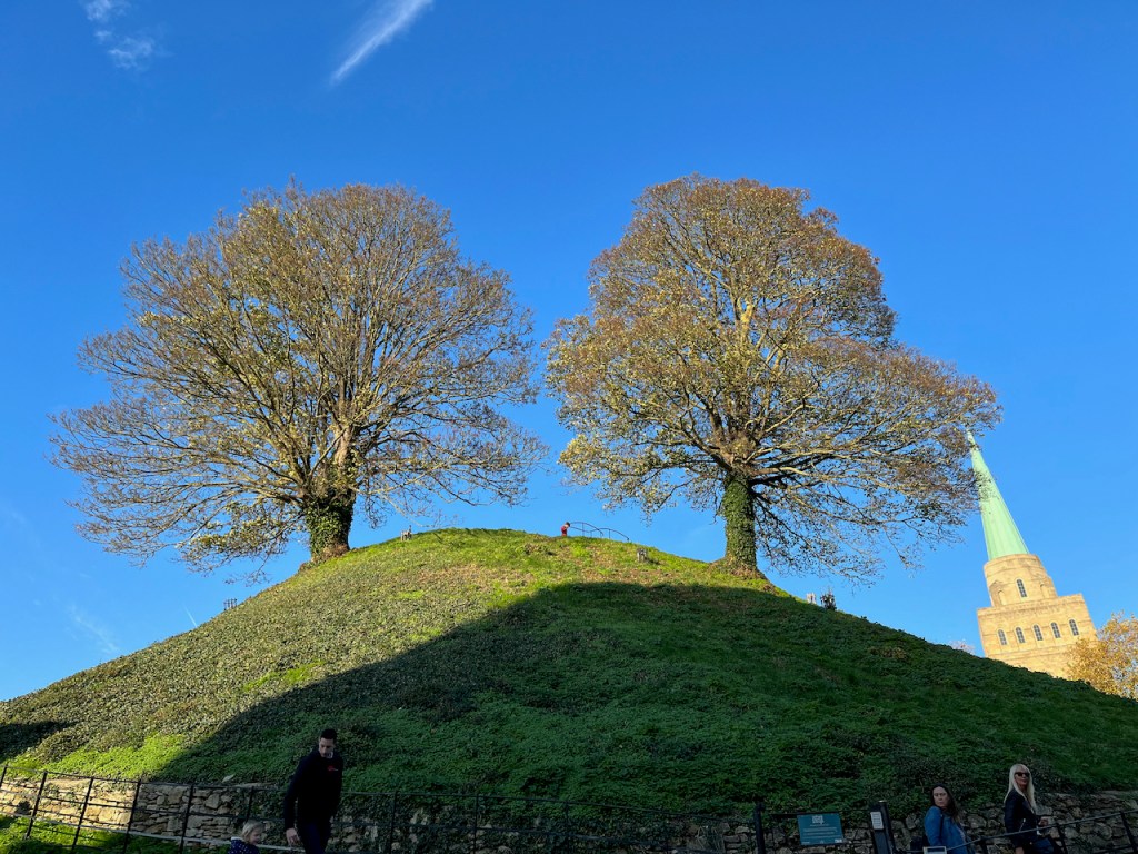 A tall green hill with 2 large trees next to each other on the top, in the sunshine beneath a clear blue sky.