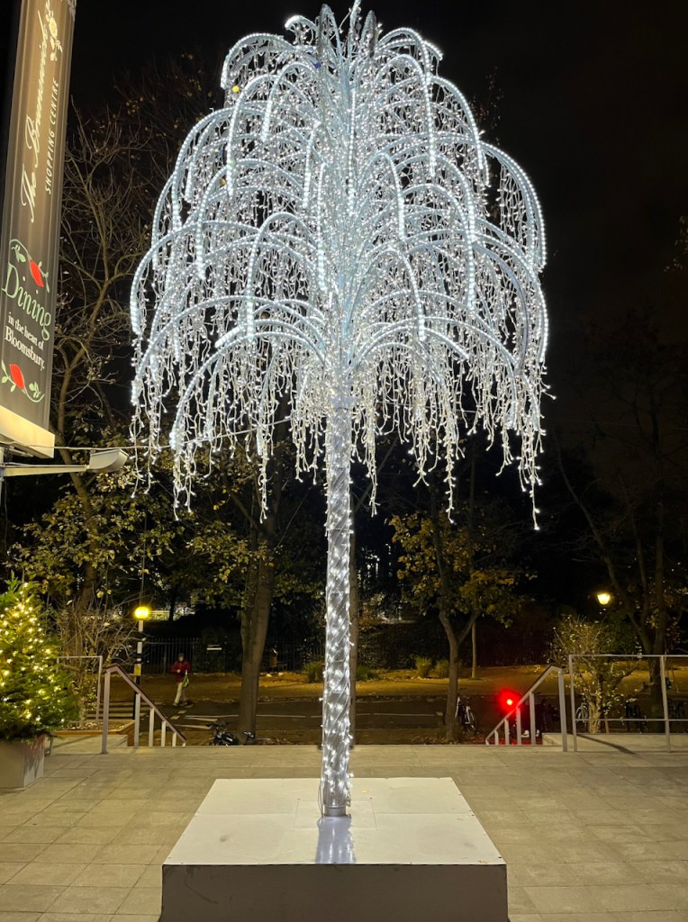 A tree consisting of a tall thin trunk, with lots of thin drooping branches coming out from its upper half, all covered in bright festive lights. It looks a bit like a Christmassy fountain spraying up out of the ground.