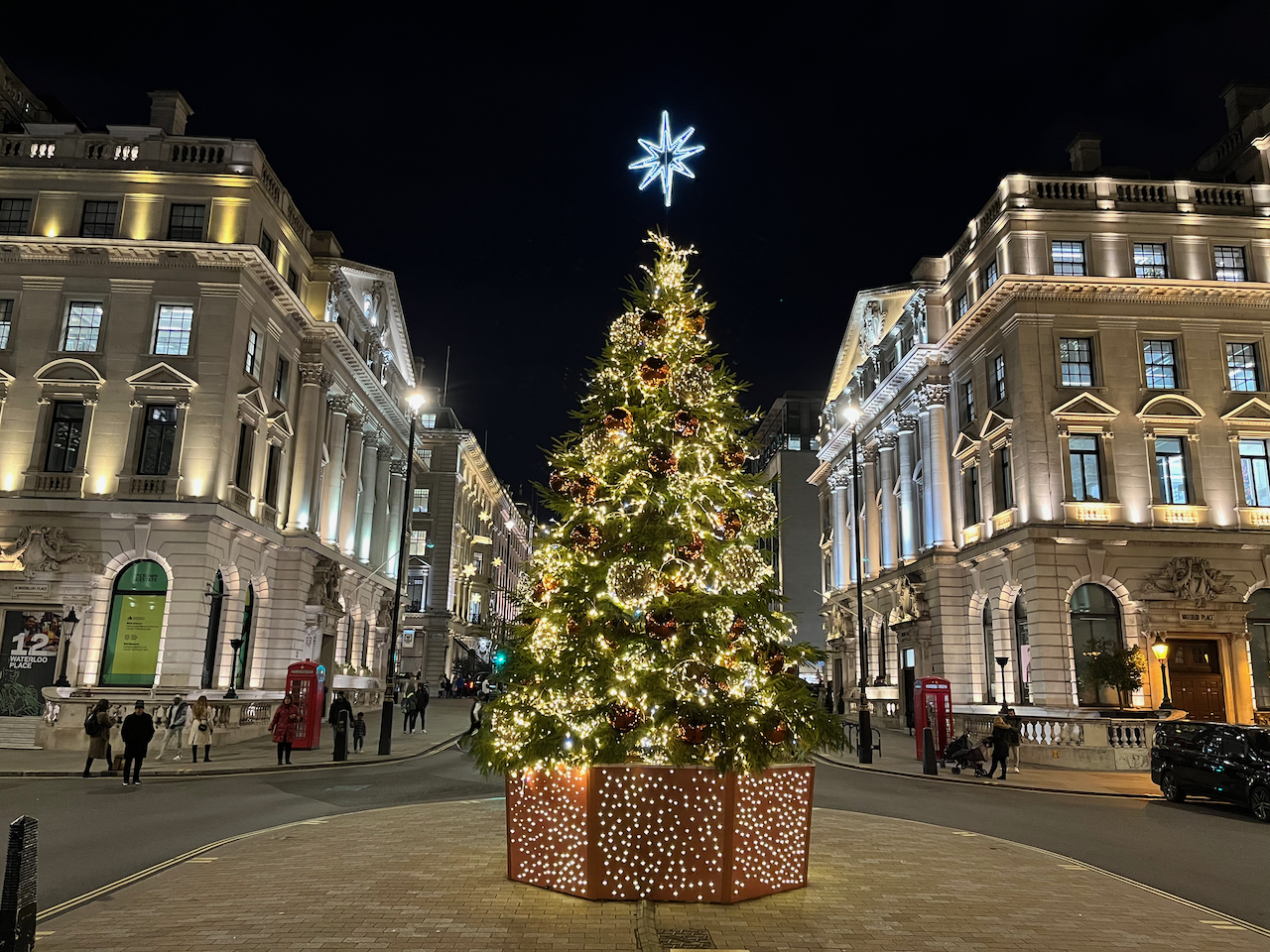 A tall, green Christmas tree covered in lights, with an 8-pointed star lit up on top. It's standing on an island with the road splitting to go around it on either side and behind us as we look at it. The view of the tree is centred so that it obscures the single road extending into the distance, but we can see the large brightly-lit buildings on either side.