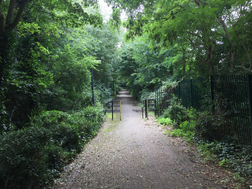 A long, narrow footpath lined with trees, the branches of which meet overhead. There are alternating light and dark patches on the path depending on where the sun is shining through the trees.