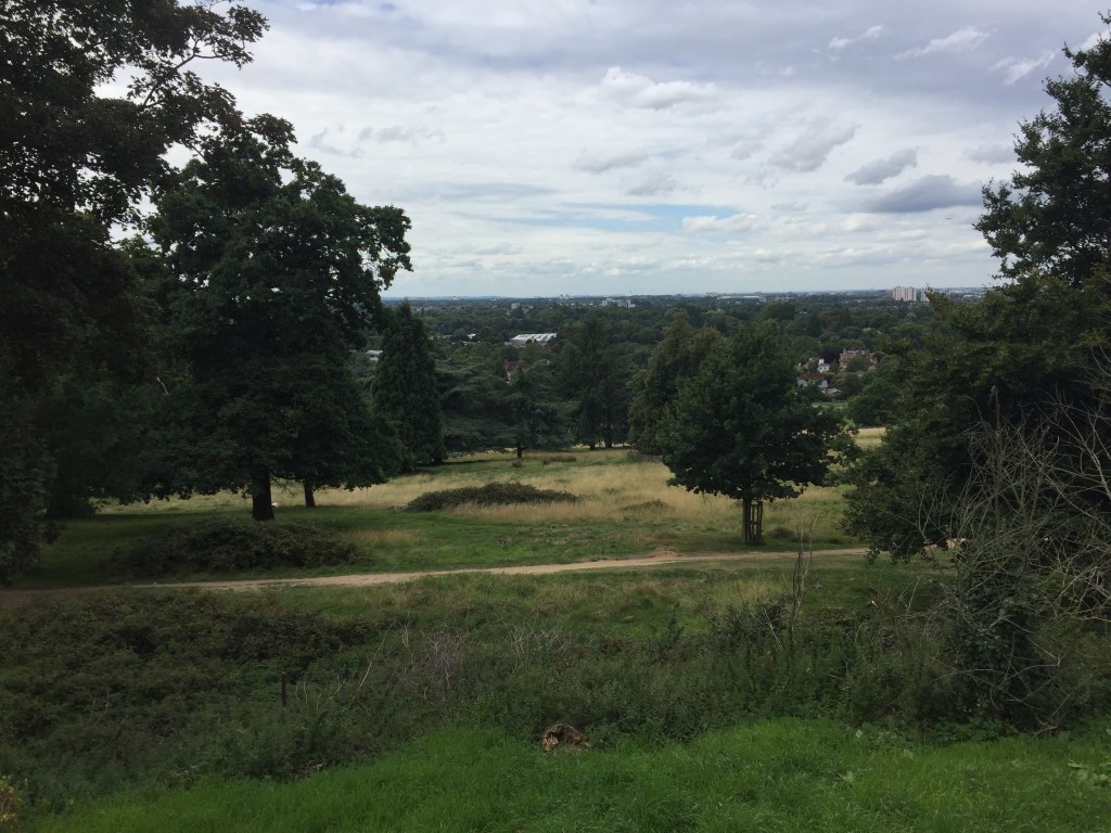 View from up on a hill in Richmond Park, looking across trees in the park to buildings just visible in the very far distance.