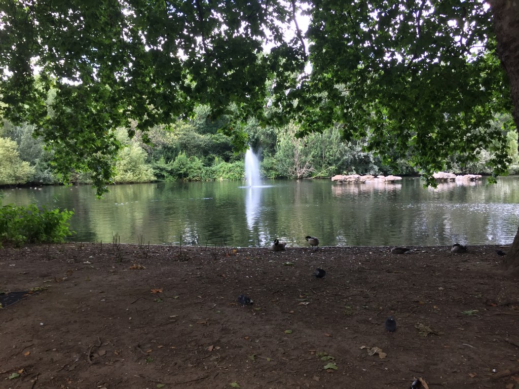 A fountain in the lake in St James's Park.