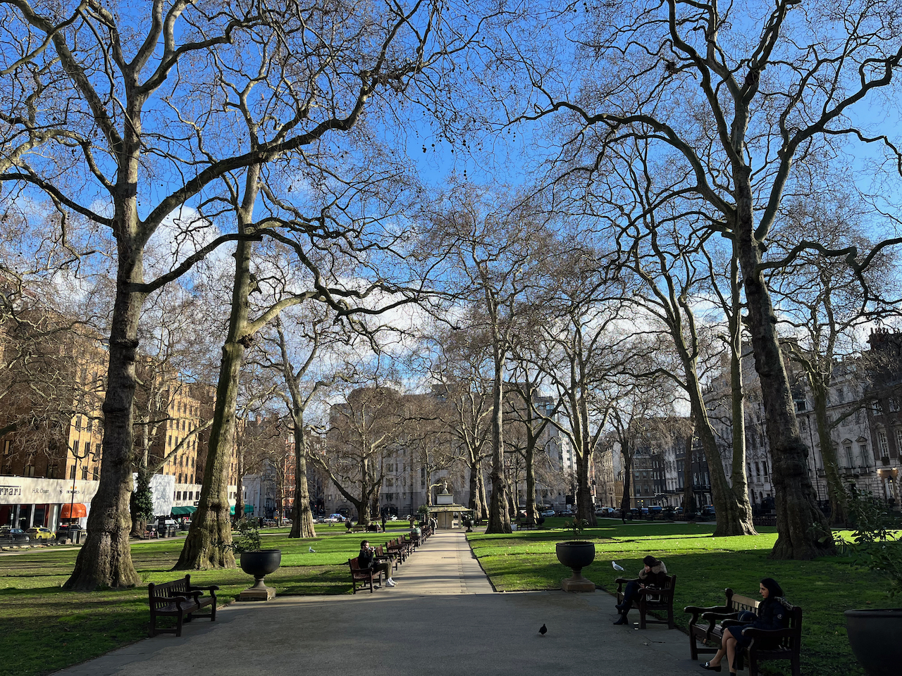 Berkeley Square Gardens, with a pathway between large grassy areas and tall trees.