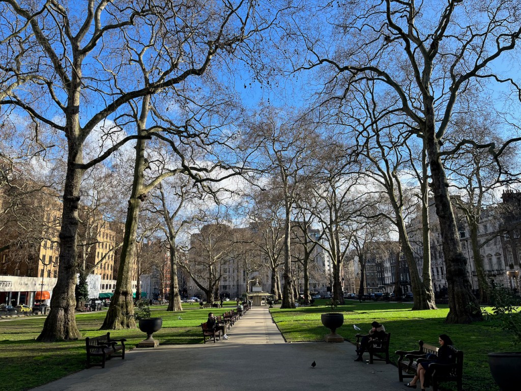 Berkeley Square Gardens, with a pathway between large grassy areas and tall trees.