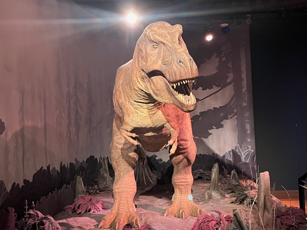 A large animated model of a T Rex dinosaur in the Natural History Museum.