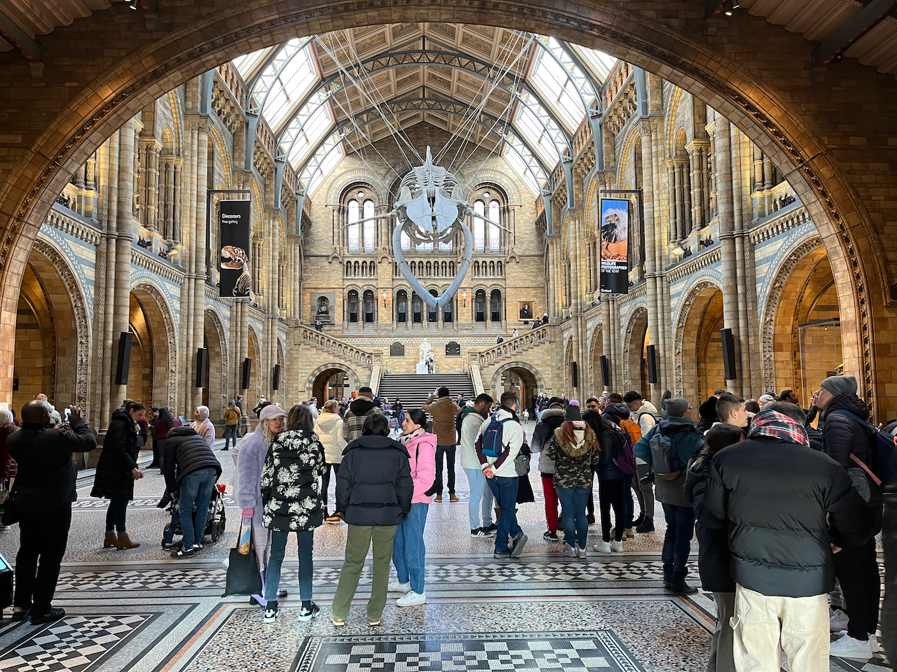 A large crowd of people on the ground floor of Hintze Hall, the large ornate space that greets you when you enter the Natural History Museum. A large skeleton of a blue whale hangs overhead, looking down at everyone. Archways along the left and right of the hall lead to exhibits or corridors, while stairs at the back lead to more galleries on the upper floors.