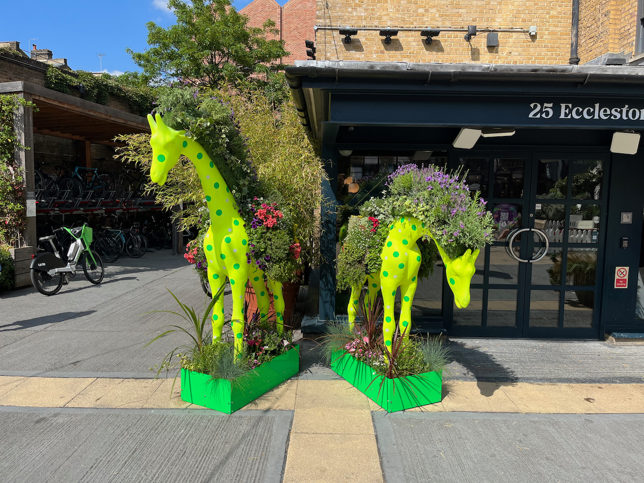 Models of 2 giraffes, one with its head up high, the other with its head bowed downwards. They are both bright yellow with green spots, and each has a thick mass of greenery and colourful flowers running all the way down their back, from the top of their head to the tops of their legs.