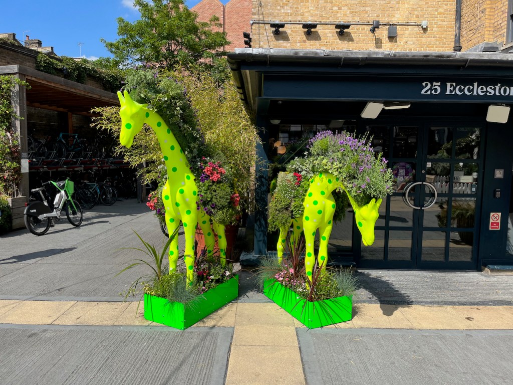 Models of 2 giraffes, one with its head up high, the other with its head bowed downwards. They are both bright yellow with green spots, and each has a thick mass of greenery and colourful flowers running all the way down their back, from the top of their head to the tops of their legs.