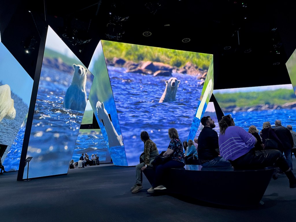 People sitting on a round bench in the middle of a floor space surrounded by very tall screens. From this angle we can see a 4 sided structure, shaped rather like an upside-down pyramid with its point hidden below the ground, with screens filling each side that are showing white polar bears in the water.