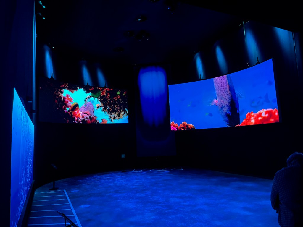 A small room bathed in a deep blue light, with large screens on the wall showing colourful coral and a fish diving downwards.