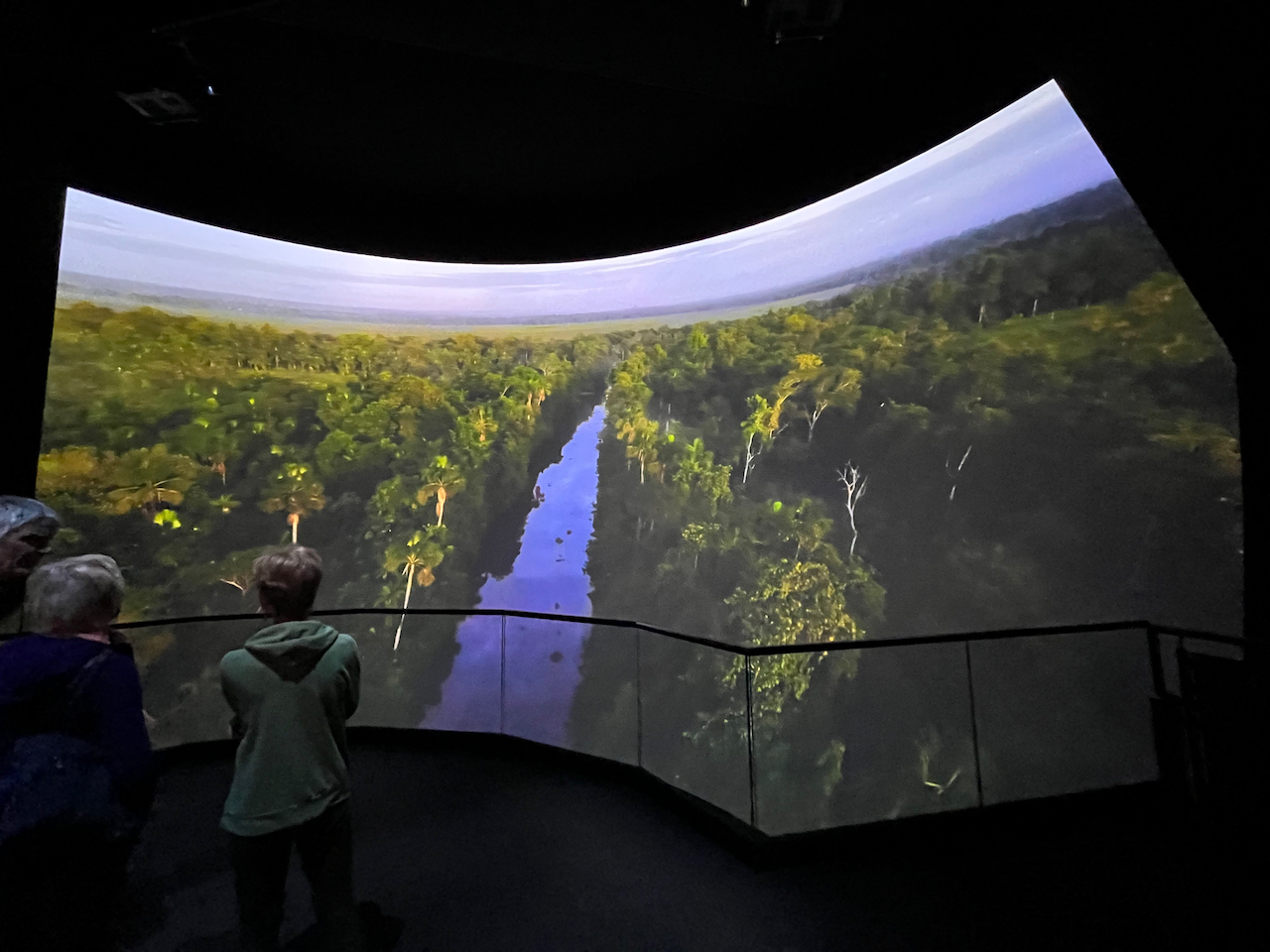 A large curved screen showing an overhead view of a river running through a forest.