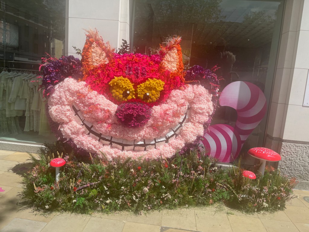 The large, grinning face of the Cheshire Cat from Alice In Wonderland, made up of flowers. The wide mouth is made of light pink flowers, while his nose is a darker purple colour, his eyes are yellow, and his face is red. There is also a big stripy pink and purple tail behind him, which is also very big but isn't made out of flowers.