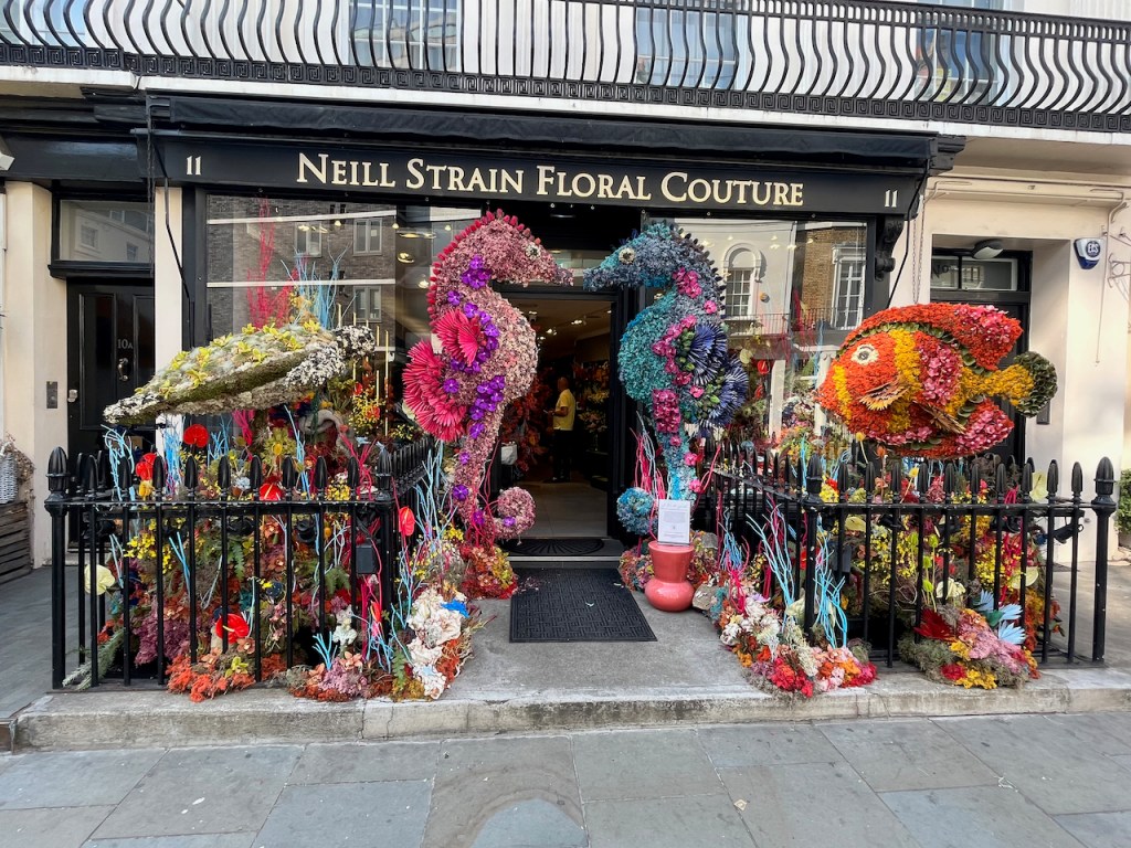 Floral installation featuring 2 large colourful seahorses facing each other, their mouths almost touching, across the entrance to Neill Strain Floral Couture. A flowery model of a turtle sits behind the left seahorse, while an orange and yellow fish sits behind the other one.