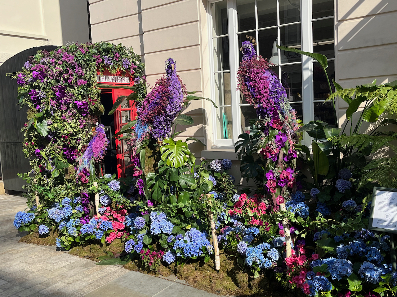 Floral installation featuring a couple of very colourful peacocks, mainly covered in pink and purple flowers. The peacocks are facing each other, while behind one of them is a red telephone kiosk, which is also covered in colourful flowers.