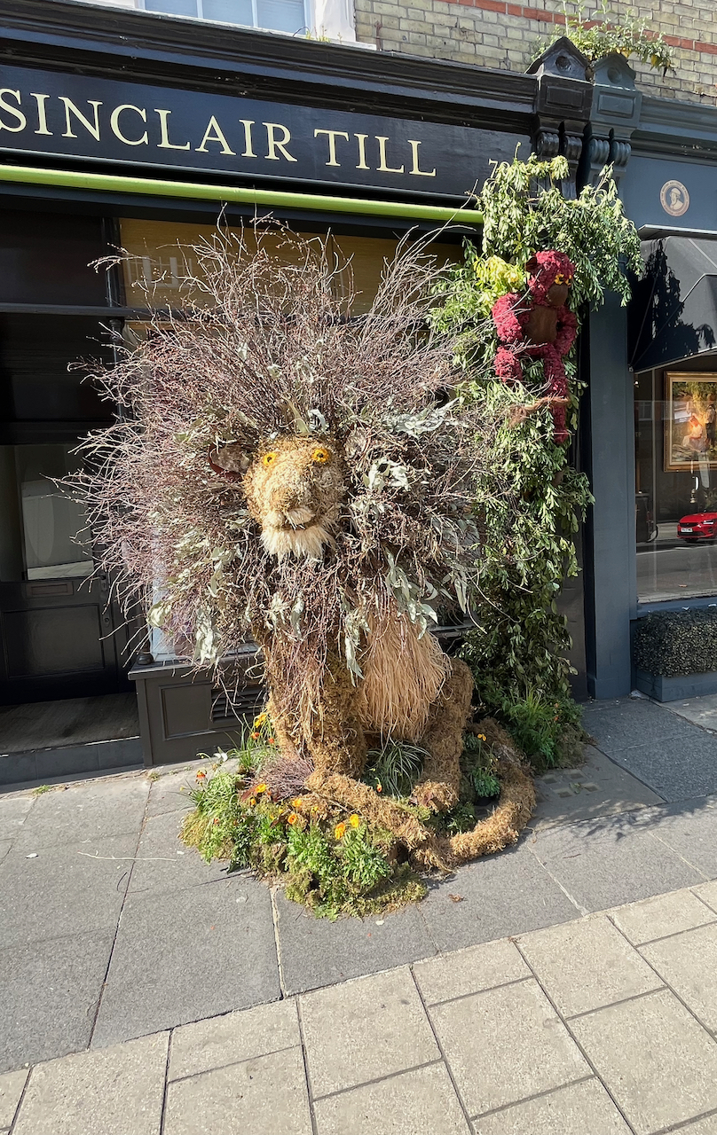 Floral installation featuring a model of a lion with a very oversized straggly mane around its head.
