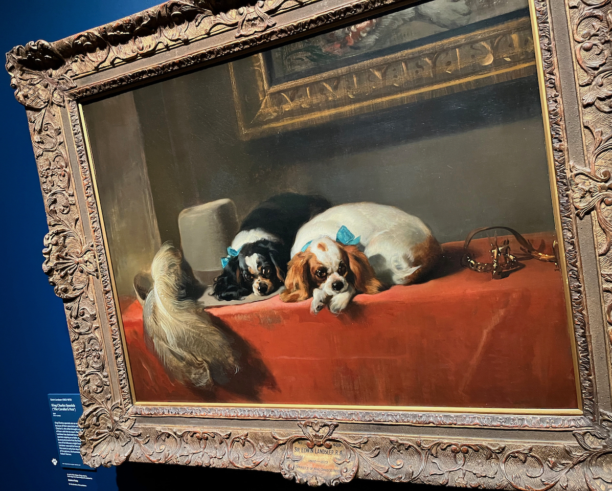 A painting of two King Charles Cavalier Spaniels, one with black and white fur, the other with brown and white fur, laying down on their fronts, on a table covered with a red cloth.