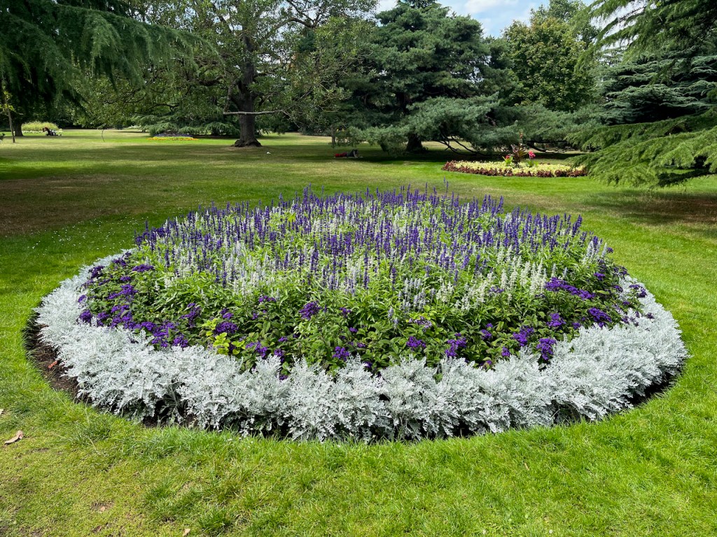 Large round flowerbed filled with purple lavender and greenery, surrounded by a border of white foliage.