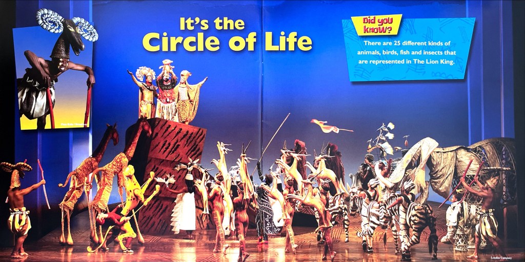 Double page spread from the children's programme for the Lion King musical. Lots of different animals, either hand-operated models or actors in costume, are gathered around the tall Pride Rock, on top of which Lion King Mufasa is holding up baby Simba. Large yellow text against the blue sky background says It's the circle of life. A box to the right says Did you know there are 25 different kinds of animals, birds, fish and insects that are represented in The Lion King.