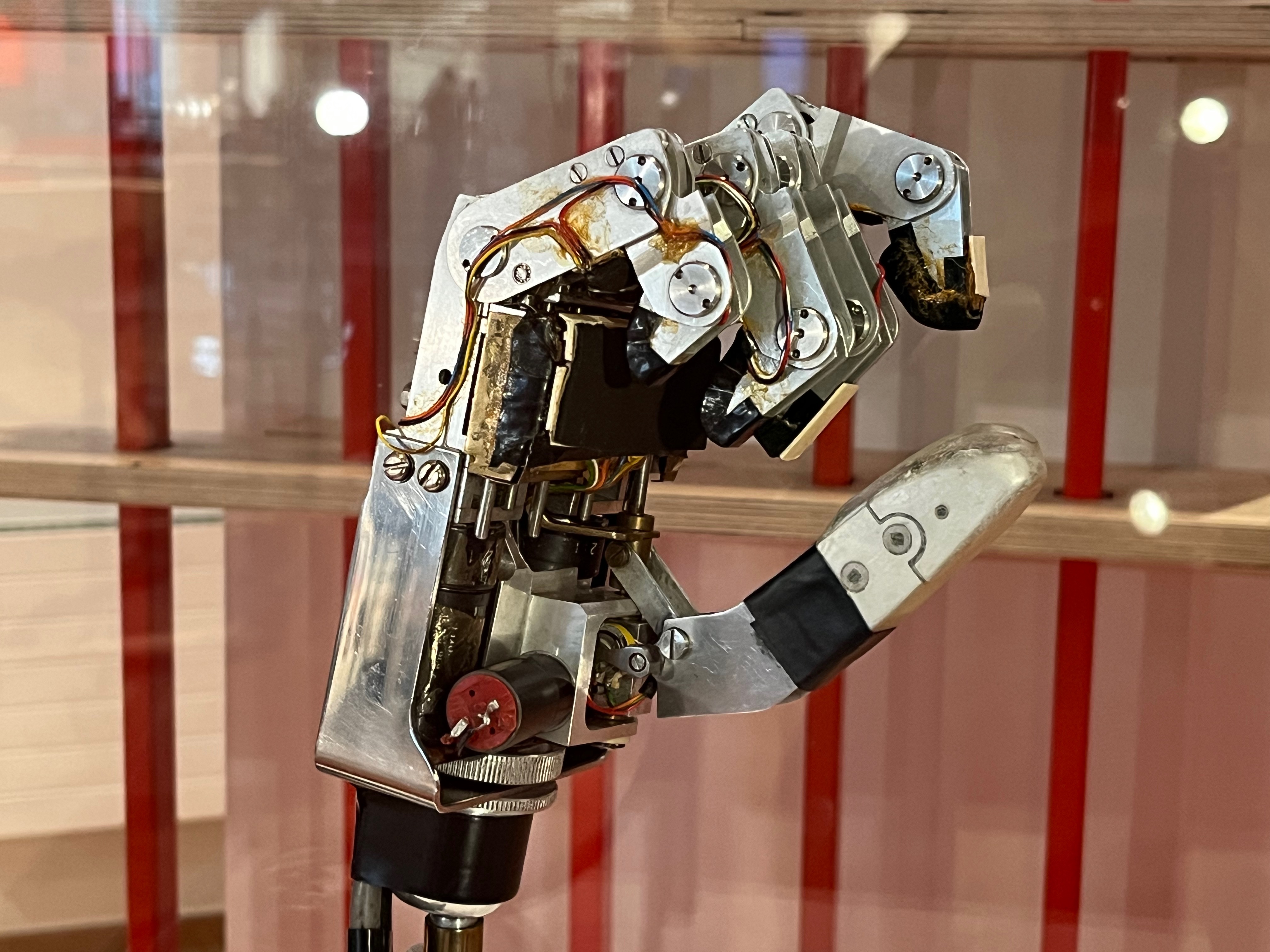 A metal prosthetic hand prototype, created by engineer Peter Kyberd at the University of Southampton. The user initiates movement by thinking, activating their arm muscles, which moves the hand. Sensors on the hand identify the shape of an object and the microprocessor selects the grasp needed.