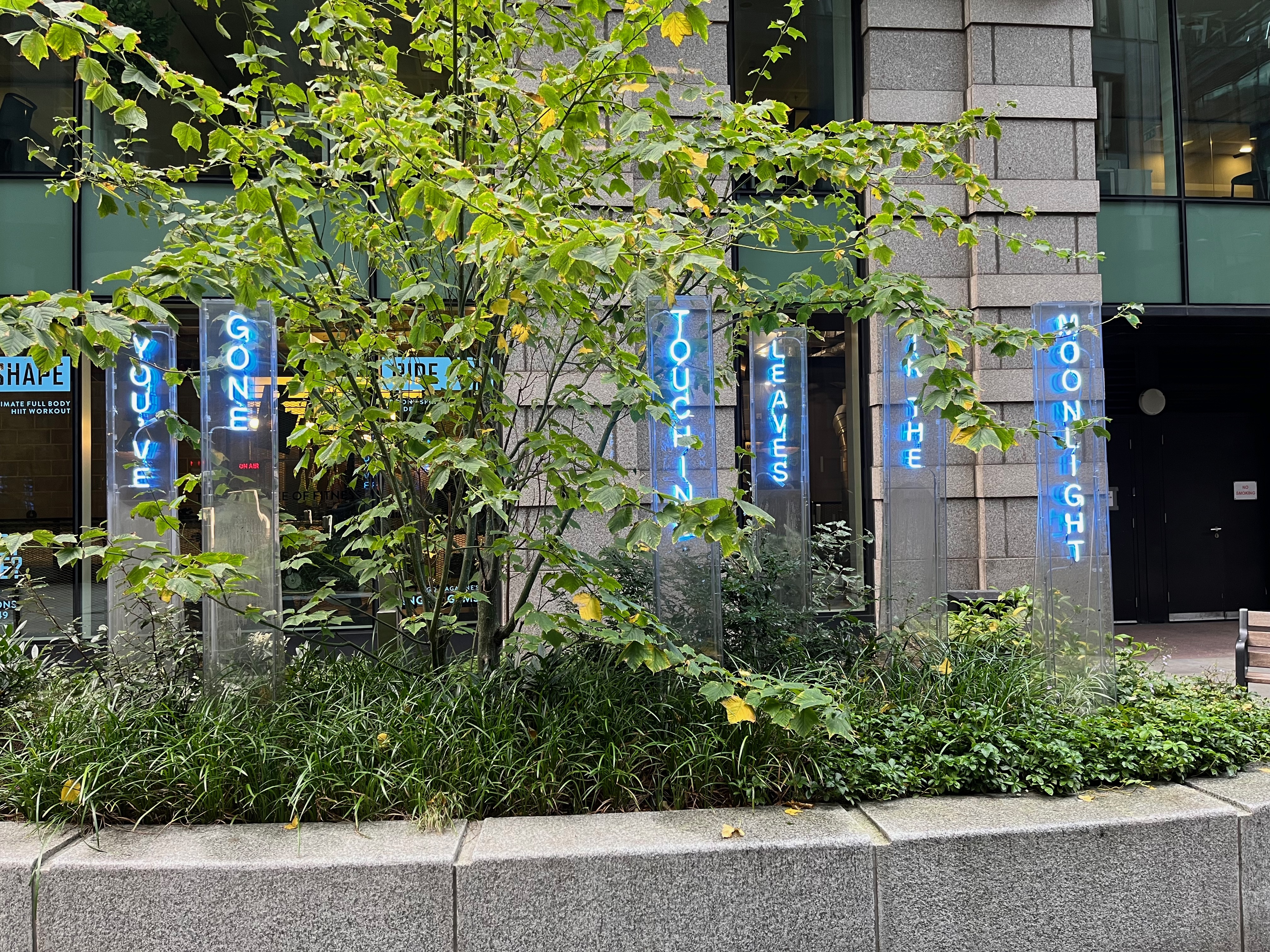An artwork called The Garden Of Floating Words by Elisa Artesero. It consist of 6 tall, very narrow, transparent panels, each of which has letters reading downwards, lit up in blue neon light. Going across they read You've gone touching leaves in the moonlight.