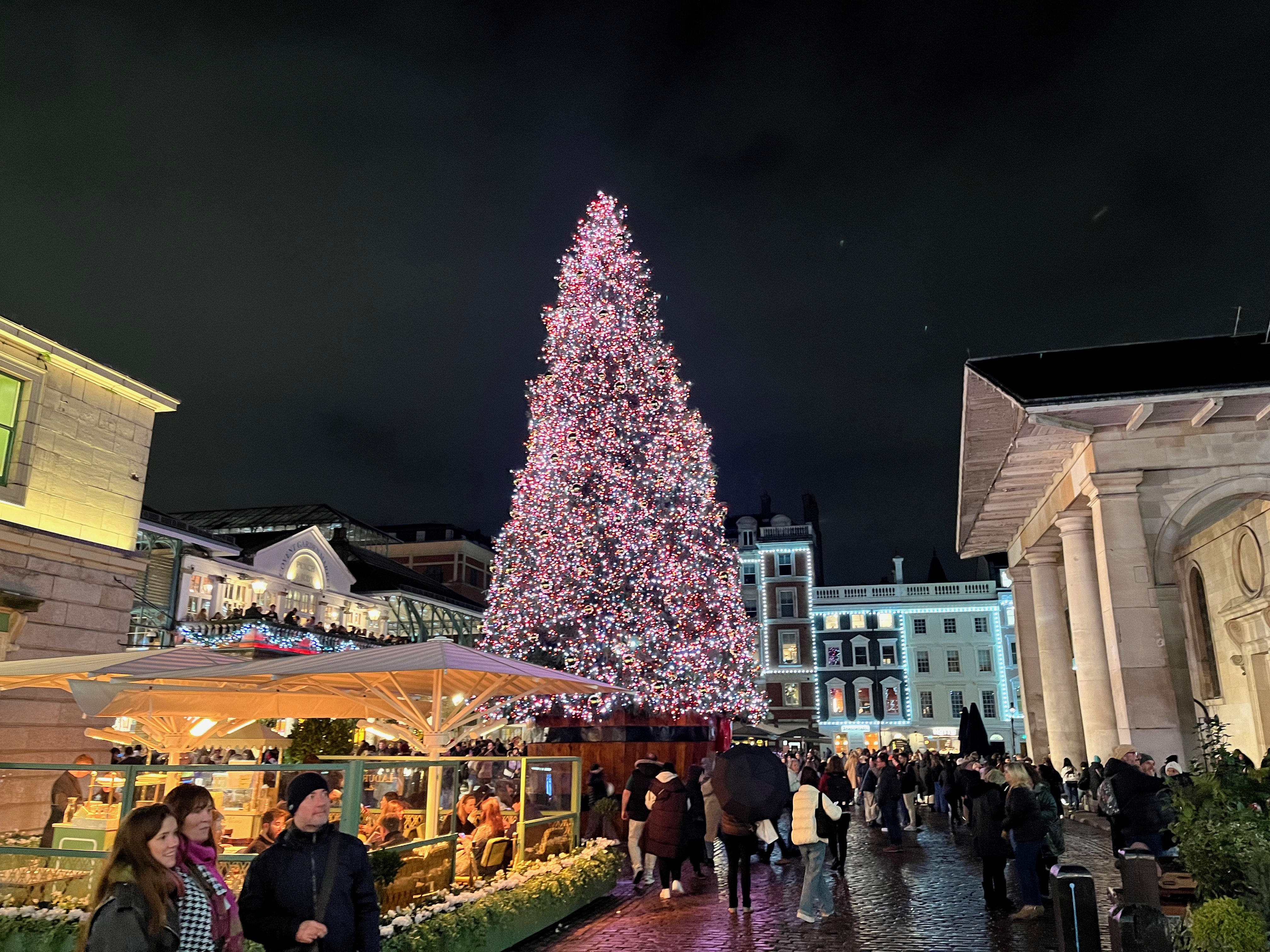 The gigantic Christmas tree outside Covent Garden Market, towering far above all the buildings.